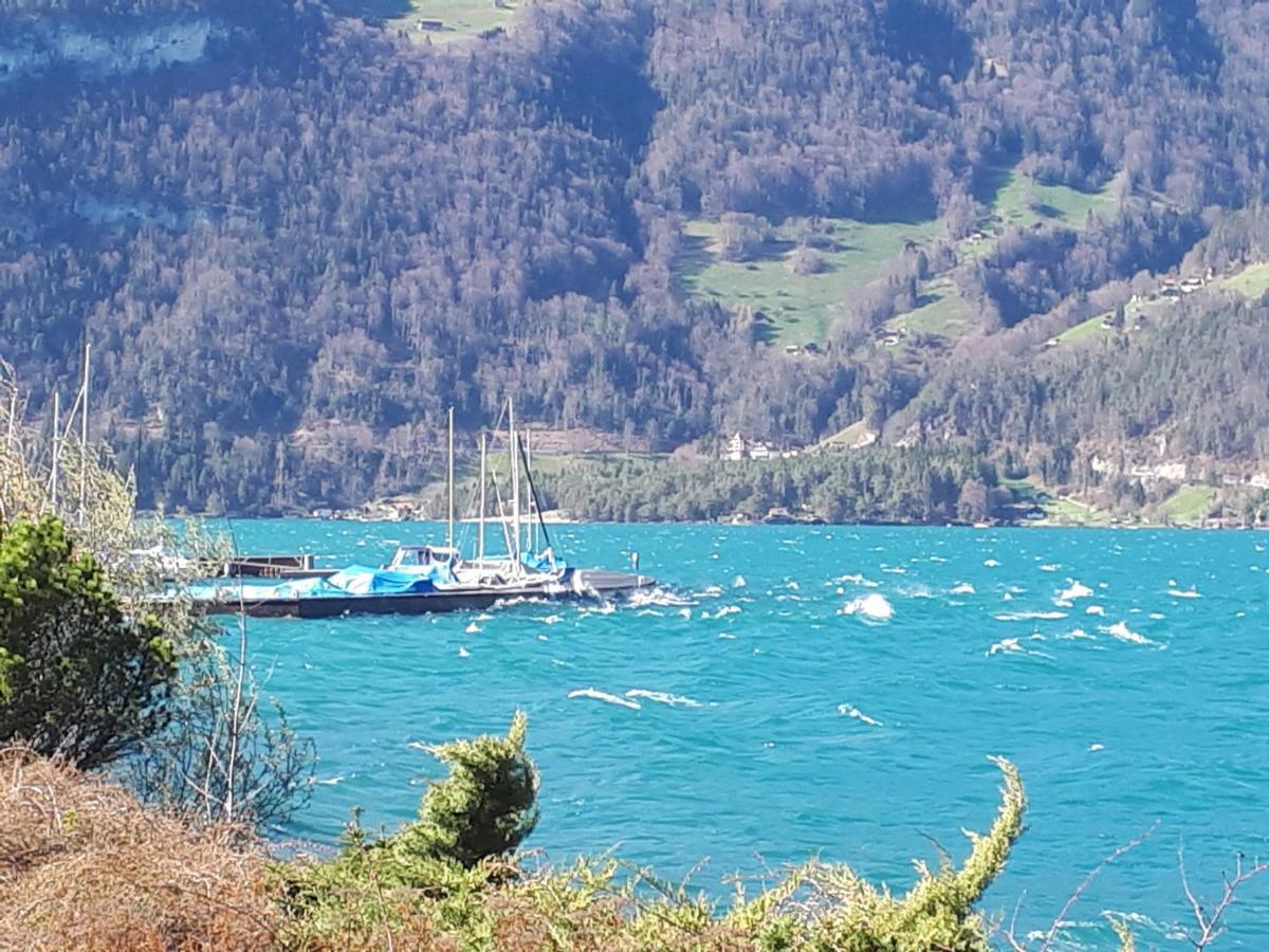Berner Oberland Am Thunersee Därligen Kültér fotó